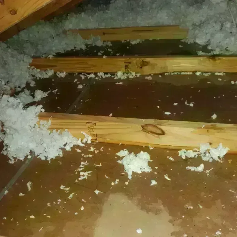 Attic Water Damage in Upson County, GA